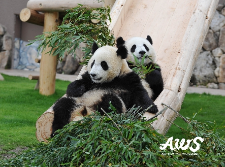 �y�G�[�XJTB��������s�z�a�̎R�c�A�[�\��E�a�̎R�̗��فE�z�e���\��